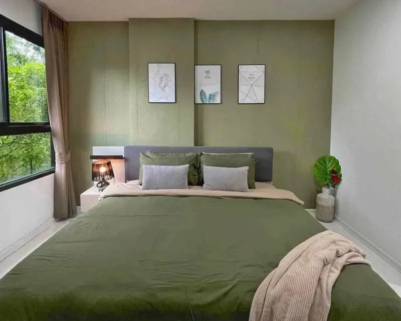 1 Bed 1 Bath - Apartment